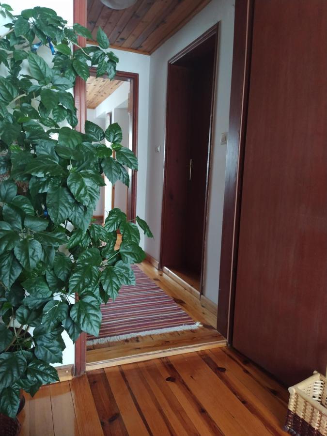Sirogojno Apartmani Milic מראה חיצוני תמונה