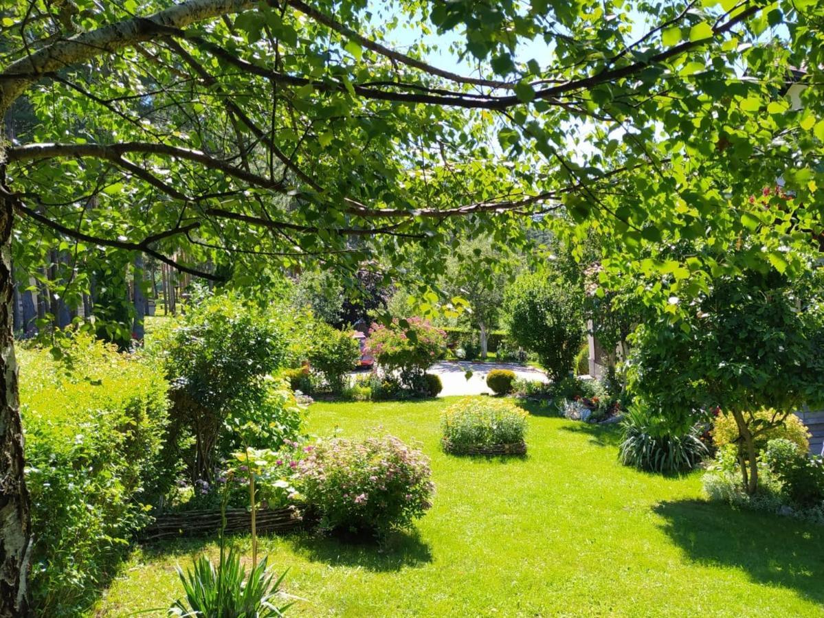 Sirogojno Apartmani Milic מראה חיצוני תמונה